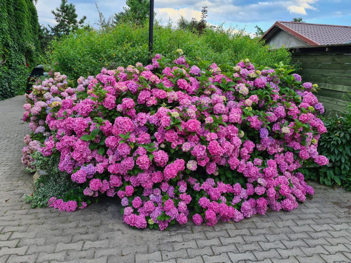 Dworek Sw.Antoniego Slawutowo Екстериор снимка